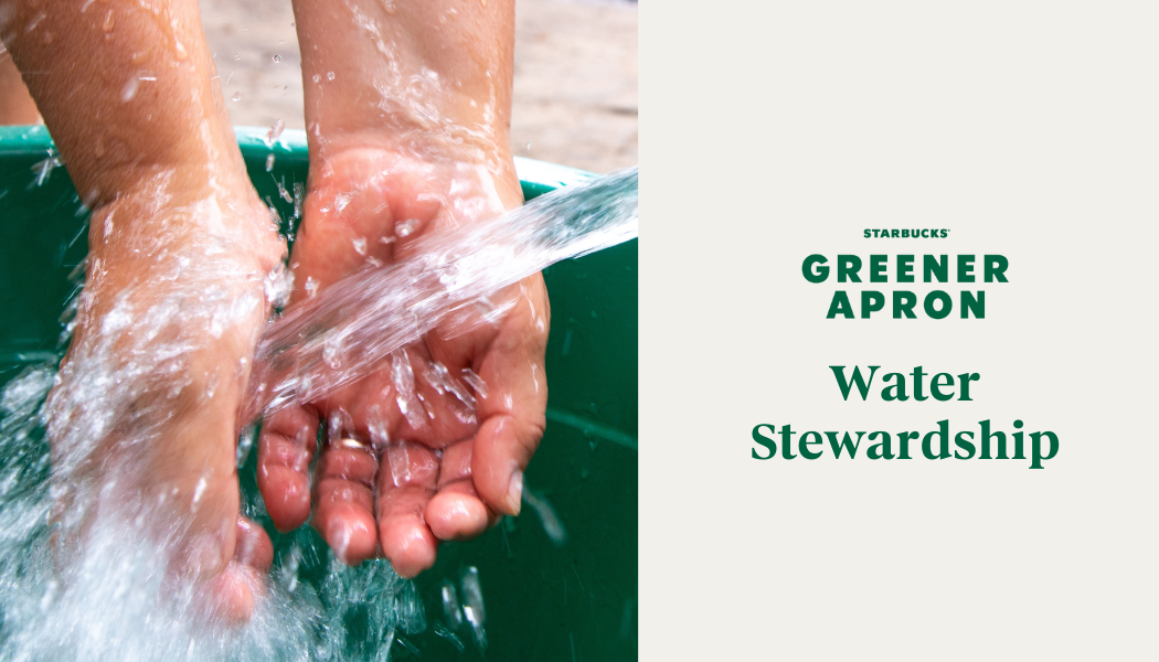 Starbucks Greener Apron: Water Stewardship GA_02