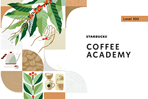 Starbucks Coffee Academy 100 (Italian) CAI100